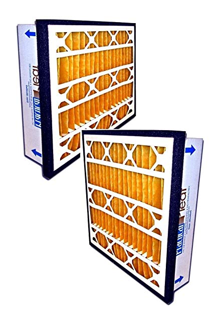 Filtration Manufacturing Practical Pleated Air Filter (2-Pack) - 24